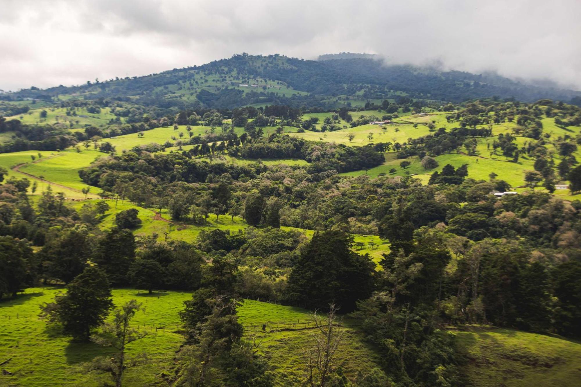 Hyatt Centric San Jose Escazu Hotel Ngoại thất bức ảnh